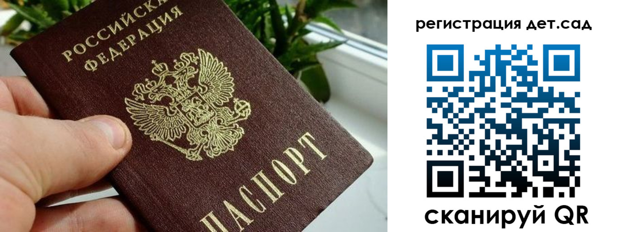 найти адрес прописки в Сясьстрое